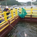 설리어촌체험휴양마을 이미지