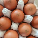 덕산농장2 | 무항생제 · HACCP 인증! 양계장청년 유정란 20구 솔직 후기