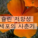 <7월 21일 에서 7월 27일 > 당뇨와 스트레스,인슐린저항성, 치유,조화와균형,당뇨와 계란후라이, 압착포도씨유,암 이미지