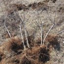 귀농농장 이미지