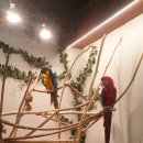 복남 농장 이미지