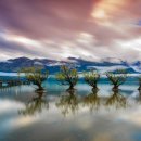 골덴세탁소 이미지