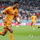 학포 마니아타임즈