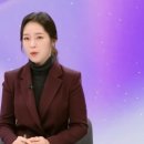 제주대학교 법학전문대학원 | 강전애 변호사 프로필 | 강전애 대변인 국민의힘