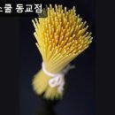 피자스쿨동교점