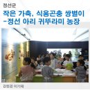 정선아리귀뚜라미농장 이미지
