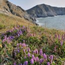 맹골죽도 민박집 이미지