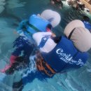 아이신나 키즈카페 이미지