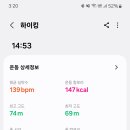 런닝머신 2km(걷기5분 뛰기15분)-241028 이미지