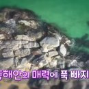 고성슈퍼 - 창원시 | 고성슈퍼