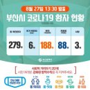 가야스파벨리 동행미디어 시대