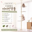 고양이집:고집 | 가또블랑코 아이언 캣폴 흔들림없는 고양이 수직공간 공간활용 완벽!