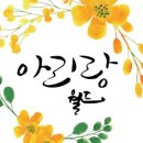 베베마쎄 이미지