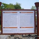 망산도 유주암 이미지