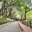 수봉공원 (실내배드민턴장) 이미지