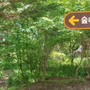 만인산자연휴양림 티스토리