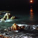 청정해역 이미지