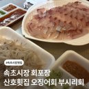 산호횟집 - 기장군 | 속초시장 회포장 < 산호횟집 > 오징어회, 부시리 회 포장 후기 내돈내산 강추