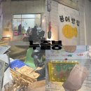 누즐붕 | 대구 붕어빵 맛집 신천동 붕어빵 누즐붕
