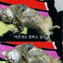 짱!맛있어