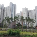 위례숲공인중개사사무소 네이버블로그