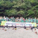 유가사등산로 이미지