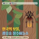 하늘소 이미지