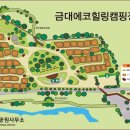 금대에코힐링캠핑장(주차장) 이미지