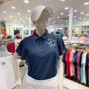 팜스프링스 이미지