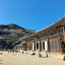화엄사 오마이뉴스