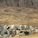 팔미농장 이미지