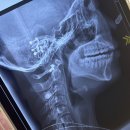 올하트성형외과의원 이미지