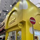 스냅치즈 네이버블로그