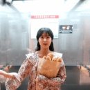 에스투어주 이미지