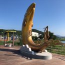 정도종합조경(주) 이미지