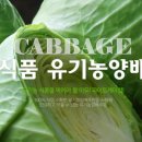 농업회사법인녹색식품(주)