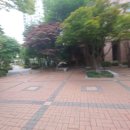 톨게이트태양광발전소 이미지