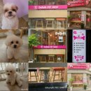 도토리펫샵 이미지