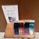 후쿠오카 숙소 추천 | 호텔 트라드 하카타 HOTEL TRAD HAKATA 대만족 후기 (비용,교통,무료셔틀,첼시가든)