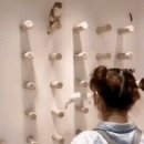 고양이 유치원 이미지