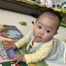 책육아 시작. 프뢰벨 토탈 퍼펙트 구성 및 후기 프뢰벨 수업후기 내돈내산