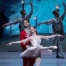 (공연) 국립발레단 <호두까기 인형>1 이미지