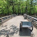 제2야영장 이미지