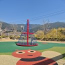 산수유가 만개한 아이와 함께 간 구례 산수유 축제 후기