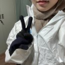 티어하임 | [용인 티어하임] 첫 유기견 보호소 봉사 후기