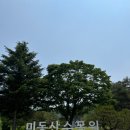 흙내음황토 | 청주 미동산 수목원 후기 자연산책 명소 황토길과 메타세쿼이아길 코스 추천