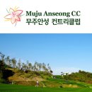 (주)에이스투어 이미지