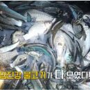 임진강어부 식당 이미지