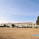 해서초교 병설유치원 이미지