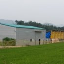 영광흑염소농장 이미지